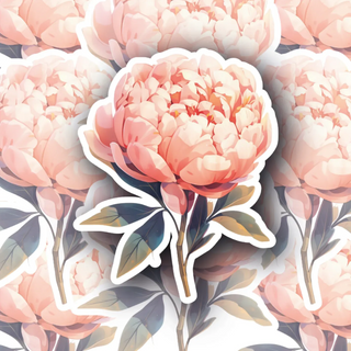 Coral Bloom Peony decal