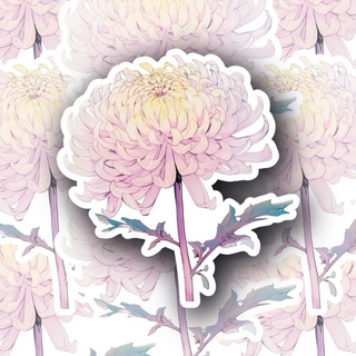 Blush Chrysanthemum decal