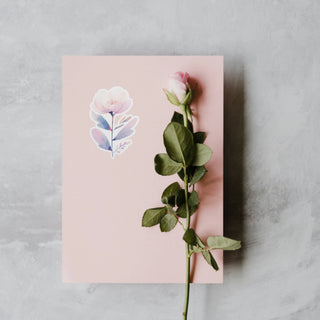 Pastel Anemone Bloom