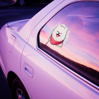 Marshmallow The Puppy