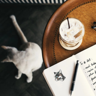 NanoFang the Cyborg Cat