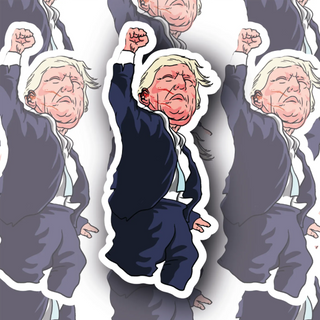 Donald Trump Fight! Edition #5 decal