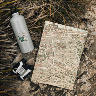 Pastel Hydrangea Bloom