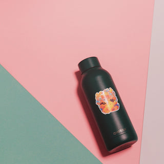 Water & UV Resistant Premium Laminated Outdoor/Indoor Decal/Sticker suitable for car, laptop, bottle, phone and diary.