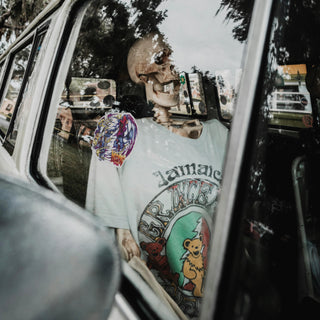 Hectic Decals Battle of the Brothers